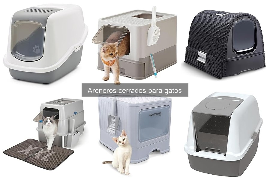 Ofertas Imperdibles en Areneros Cerrados para Gatos