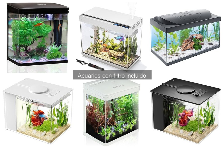 Ofertas y Descuentos en Acuarios con Filtro Incluido