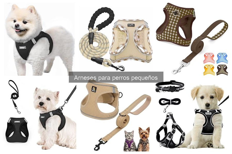 Ofertas y Descuentos en Arneses para Perros Pequeños