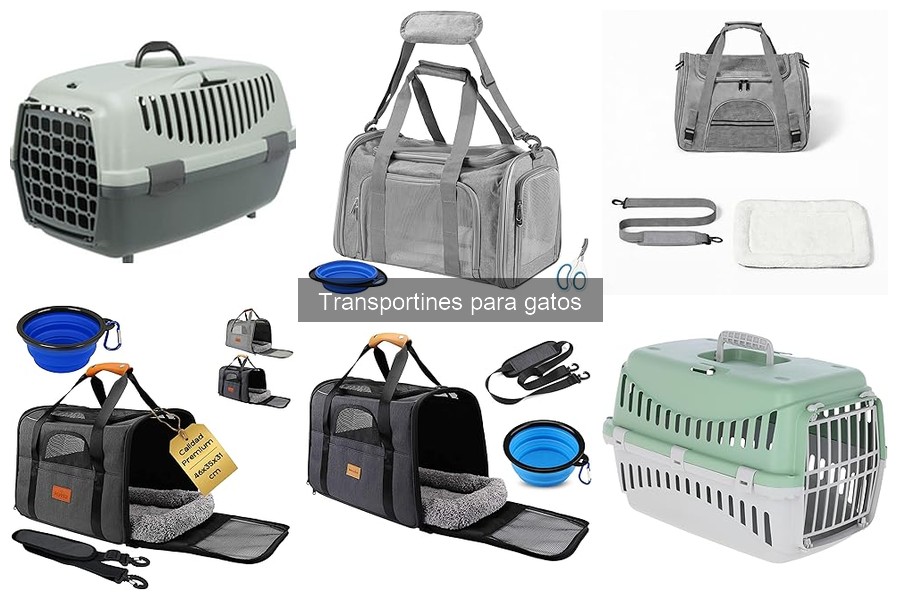 Ofertas y Descuentos en Transportines para Gatos
