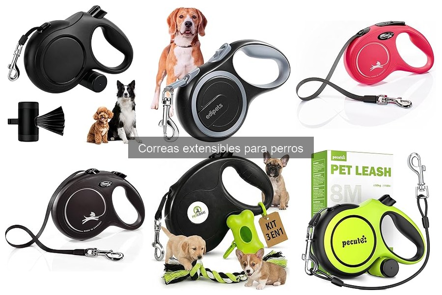 Ofertas y Precios de Correas Extensibles para Perros