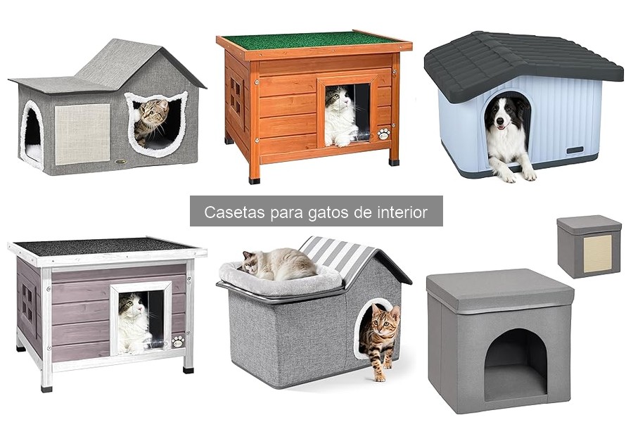 Opiniones de Casetas para Gatos de Interior: Reseñas Reales