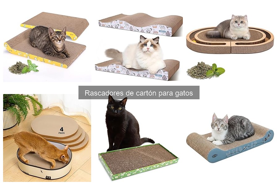 Opiniones de rascadores de cartón para gatos en 2023