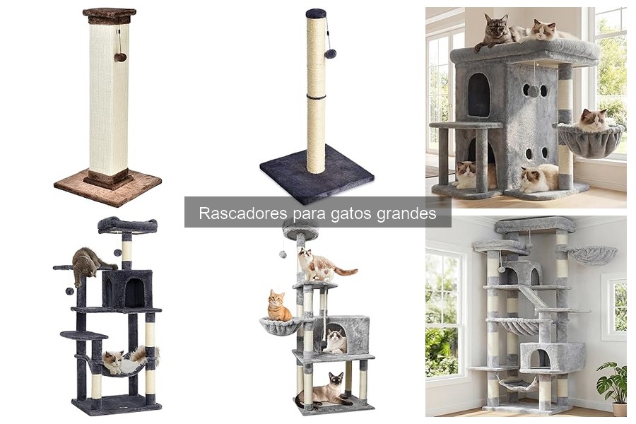 Opiniones de Rascadores para Gatos Grandes: Lo que Dicen los Dueños
