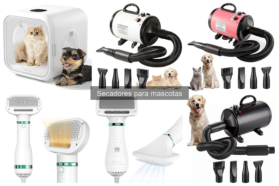 Opiniones de secadores para mascotas: experiencias reales