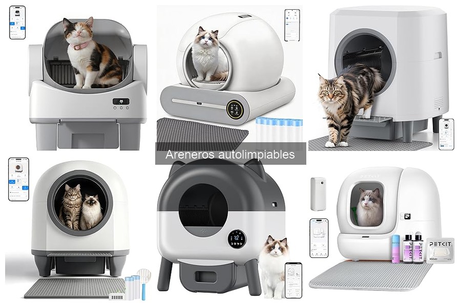 Opiniones sobre areneros autolimpiables para gatos
