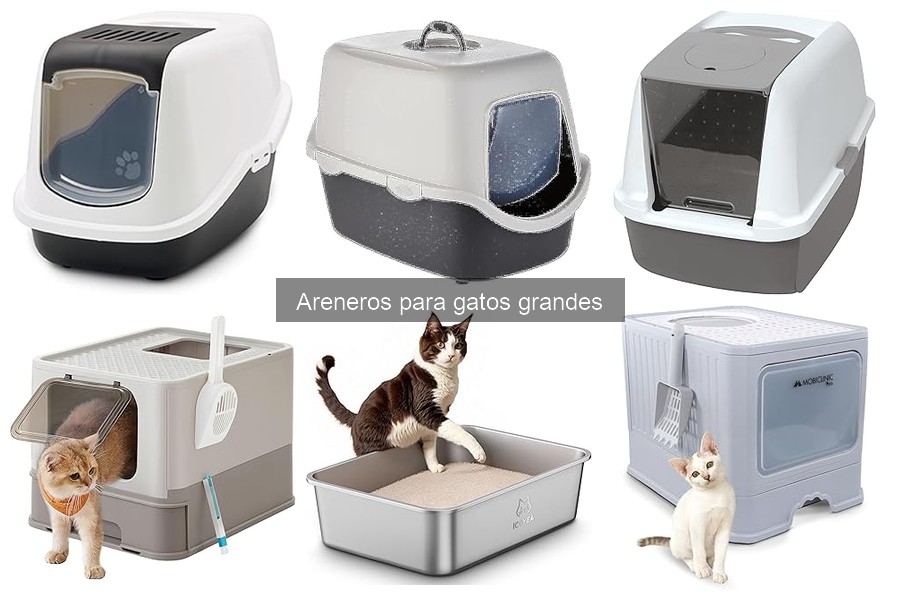 Opiniones sobre areneros grandes para gatos: ¿cuáles son los mejores?