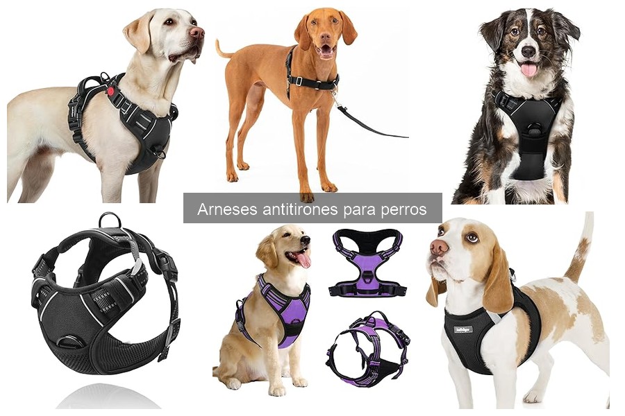 Opiniones sobre arneses antitirones para perros