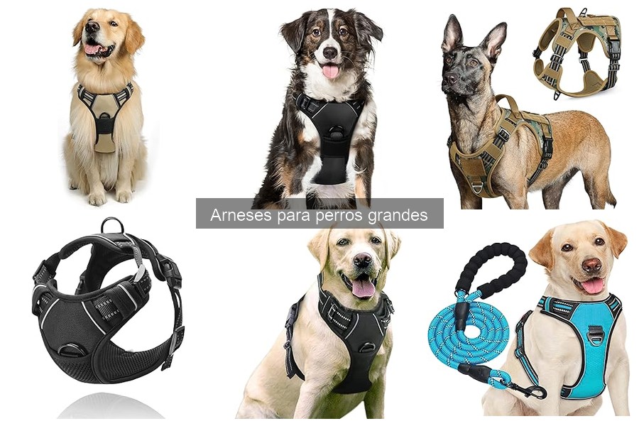 Opiniones sobre arneses para perros grandes: lo que dicen los dueños