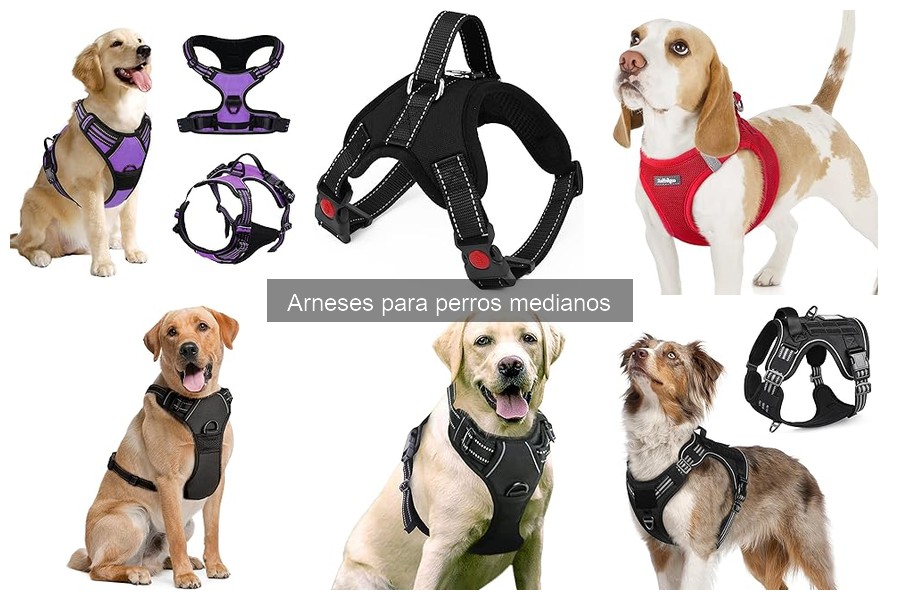 Opiniones sobre arneses para perros medianos: ¿Cuál elegir?