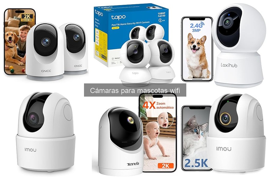 Opiniones sobre cámaras para mascotas wifi: análisis y reseñas