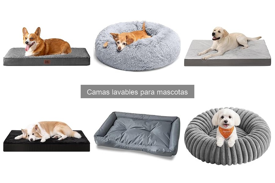 Opiniones sobre camas lavables para mascotas que sorprenden