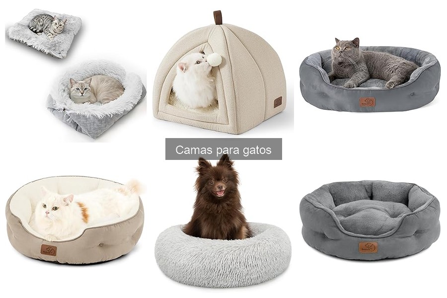 Opiniones sobre camas para gatos de Bedsure y lionto