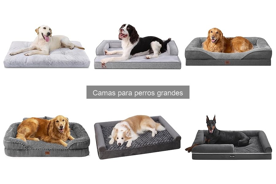 Opiniones sobre camas para perros grandes: ¿Qué marcas destacan?