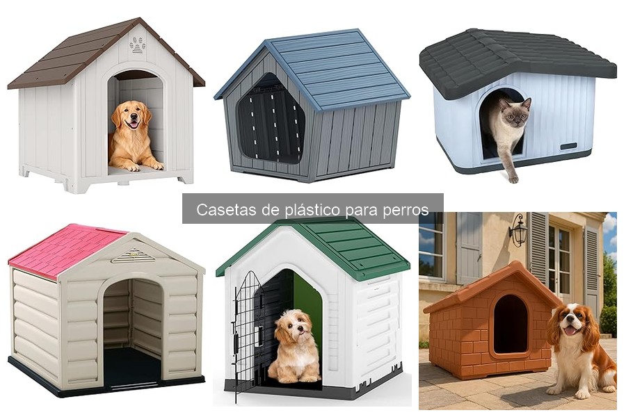 Opiniones sobre Casetas de Plástico para Perros: Lo Que Dicen Usuarios