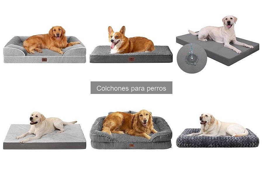 Opiniones sobre Colchones para Perros: EHEYCIGA y KSIIA