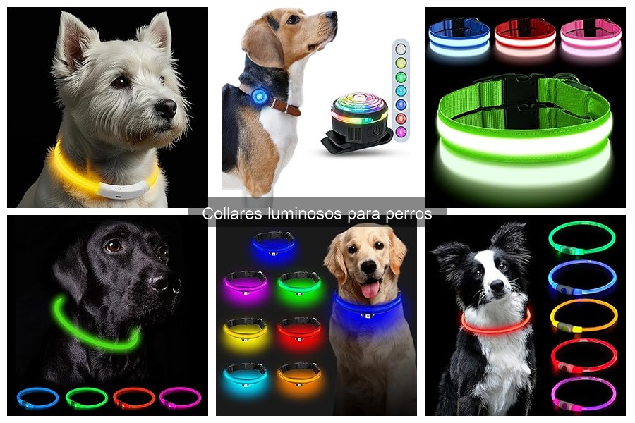 Opiniones sobre collares luminosos para perros