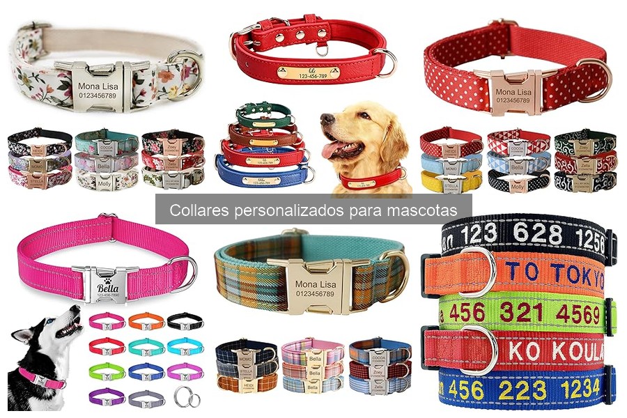Opiniones sobre collares personalizados para gatos