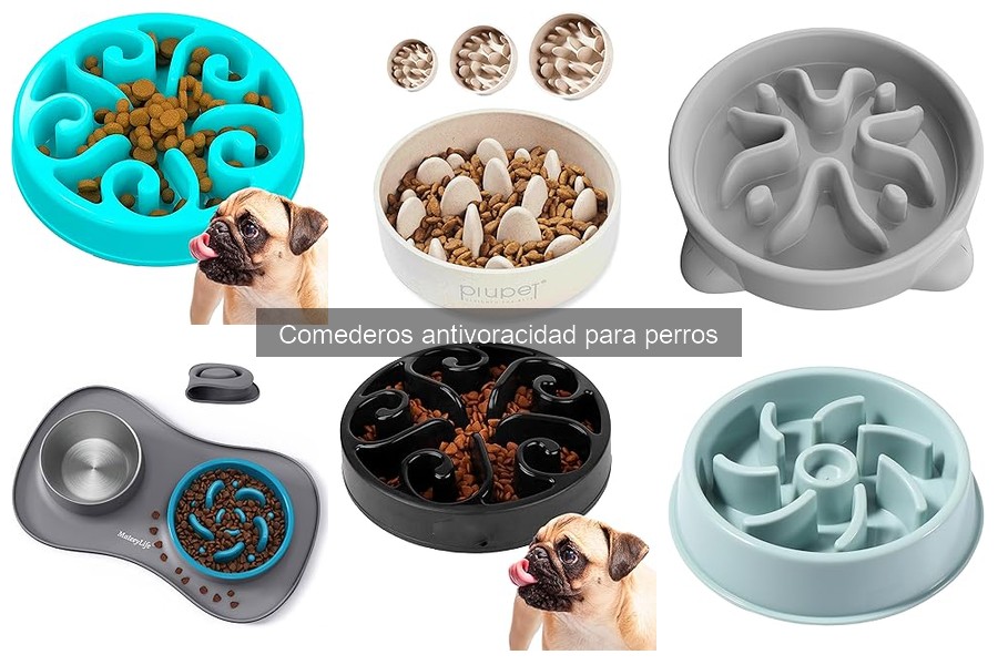 Opiniones sobre comederos antivoracidad para perros