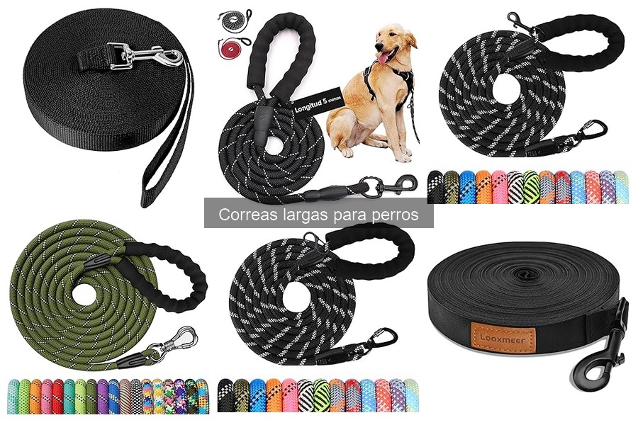 Opiniones sobre correas largas para perros: experiencias reales