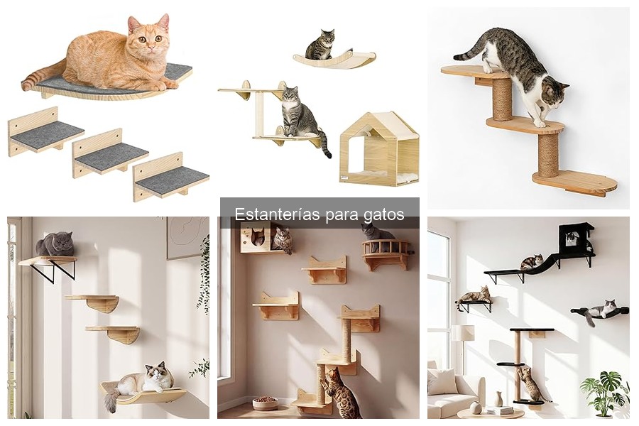 Opiniones sobre Estanterías para Gatos: Reseñas Reales