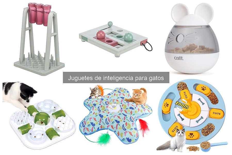 Opiniones sobre Juguetes de Inteligencia para Gatos
