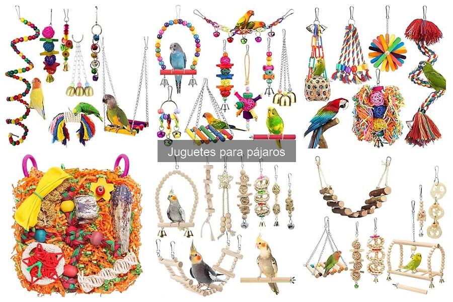 Opiniones sobre Juguetes para Pájaros: Análisis de Usuarios