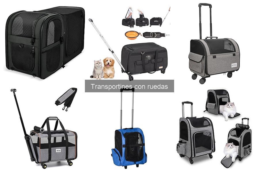 Opiniones sobre transportines con ruedas para mascotas