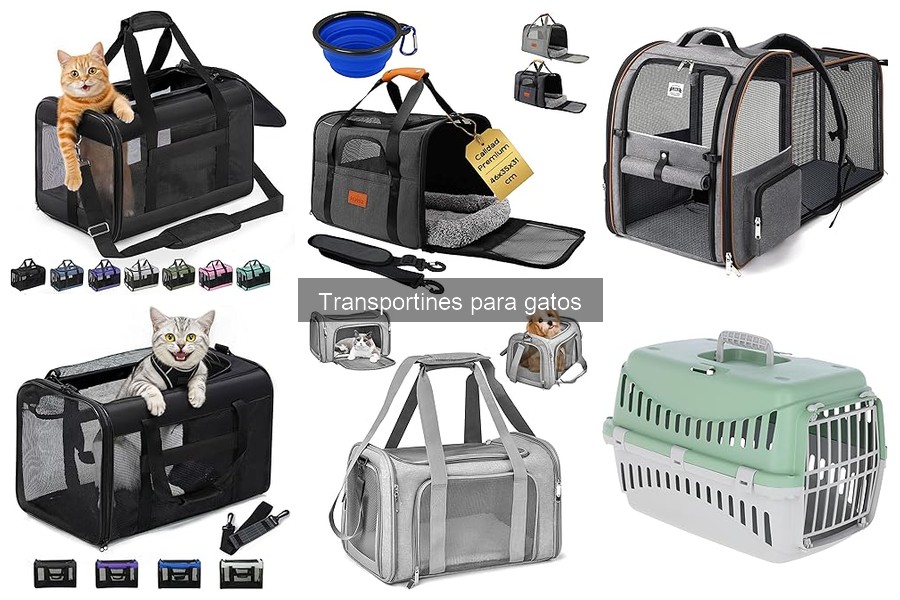 Opiniones sobre transportines para gatos: Reseñas reales