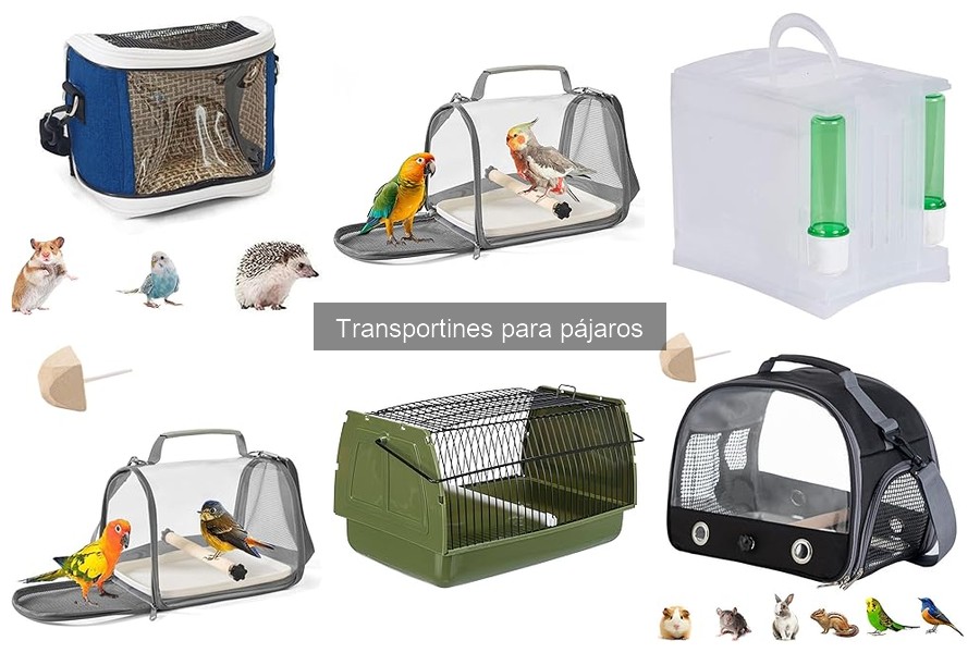 Opiniones sobre transportines para pájaros: ¡Descubre lo que dicen!