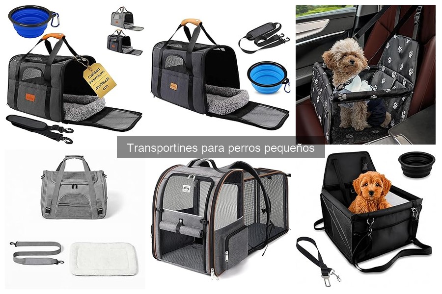 Opiniones sobre transportines para perros pequeños
