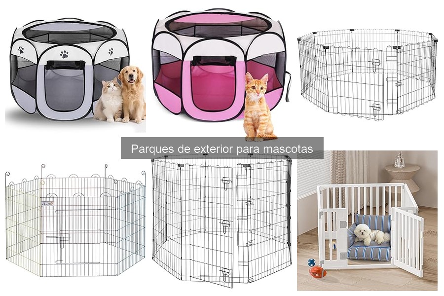Parques de Exterior para Mascotas: ¿Qué Son y Características?