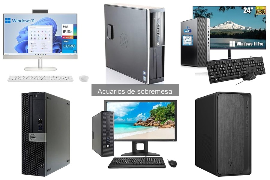 Peces ideales para acuarios de sobremesa: Guía práctica