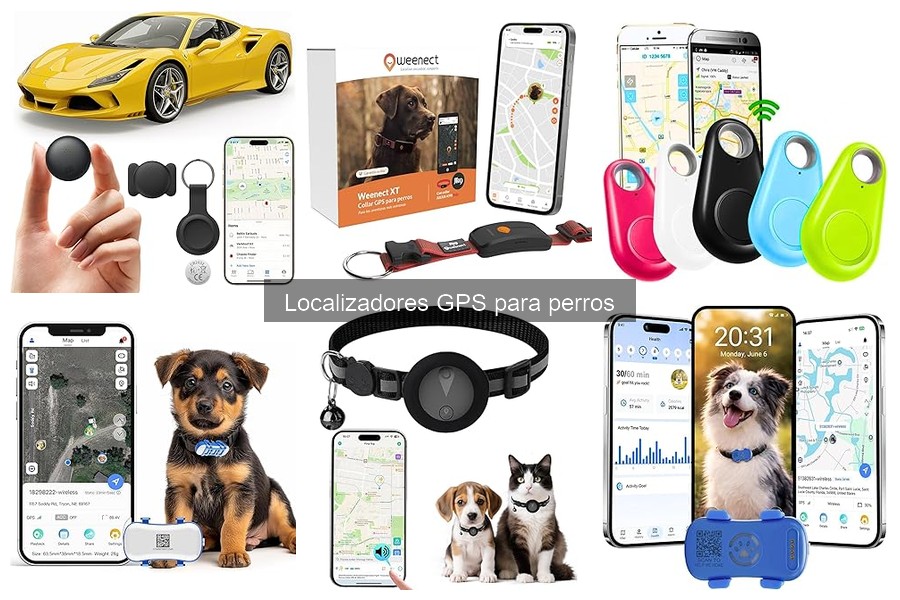 ¿Por qué fallan los localizadores GPS para perros?