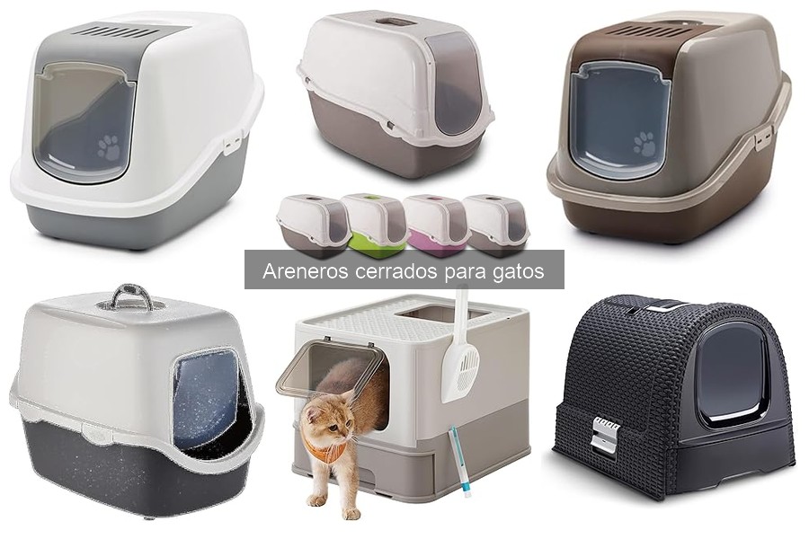 ¿Por qué mi gato no usa el arenero cerrado? Soluciones aquí
