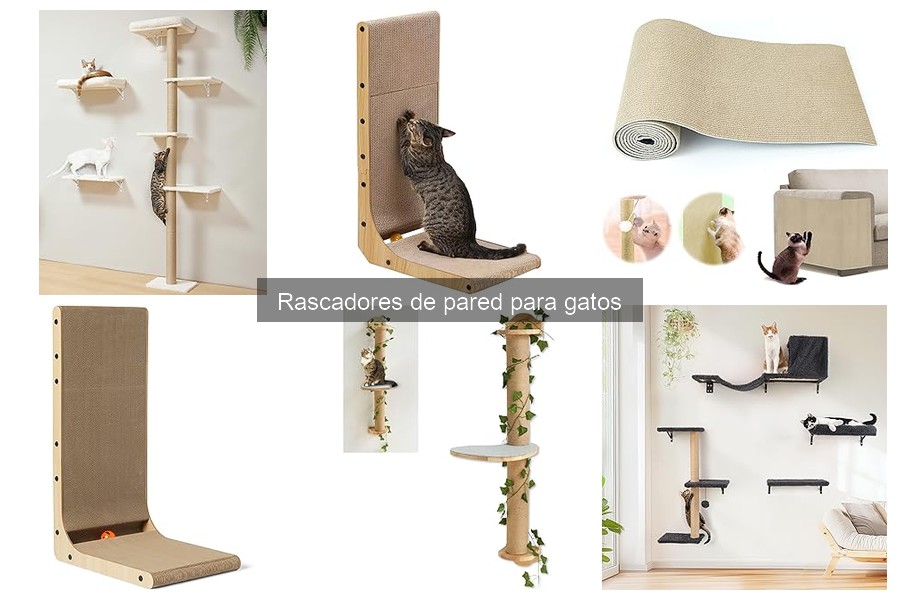 ¿Por qué mi gato no usa el rascador de pared? Soluciones