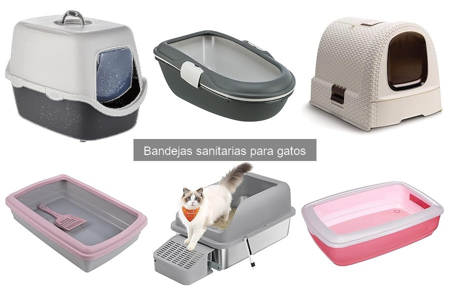 ¿Por qué mi gato no usa la bandeja sanitaria? Soluciones