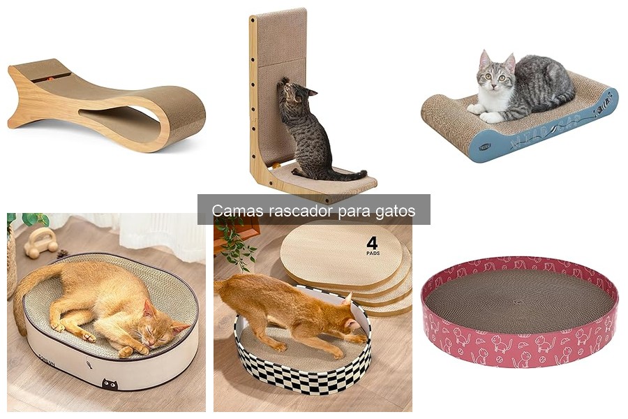 ¿Por qué mi gato no usa la cama rascador? Soluciones efectivas