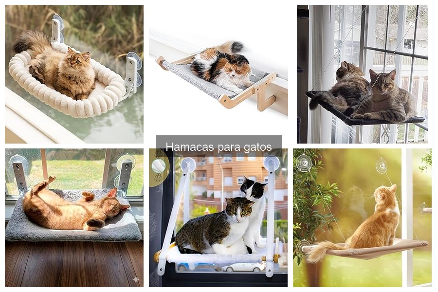 ¿Por qué mi gato no usa la hamaca? Soluciones efectivas