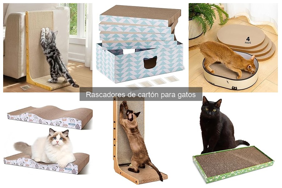 ¿Por qué mi gato no usa su rascador de cartón? Soluciones