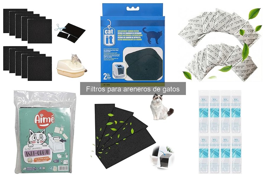 ¿Por qué mi gato rechaza el arenero con filtro?