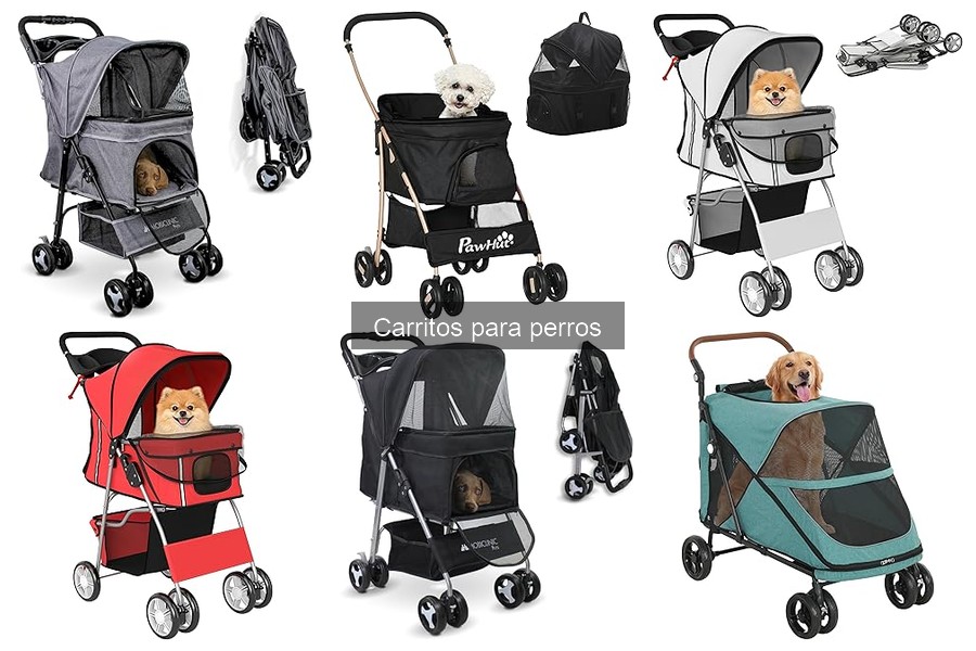 ¿Por qué mi perro no quiere usar su carrito? Soluciones efectivas