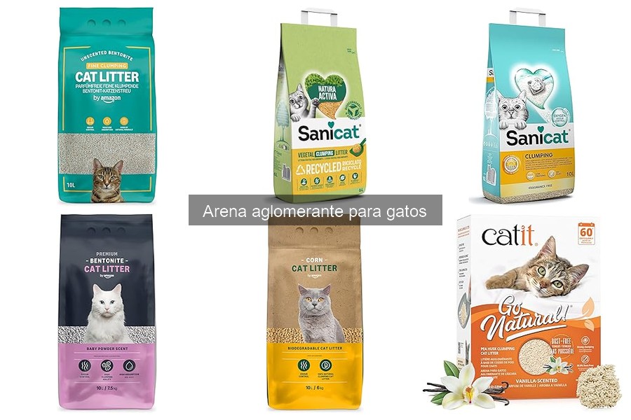 Precios de arena aglomerante para gatos: ¿Cuánto cuesta?