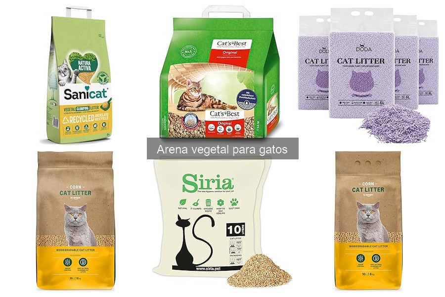 Precios de Arena Vegetal para Gatos en Tiendas Online