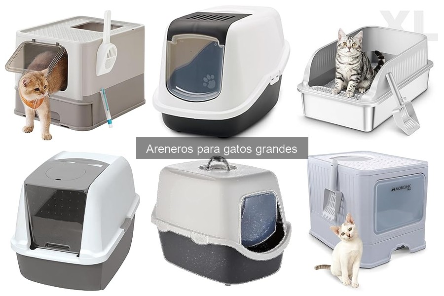 Precios de Areneros para Gatos Grandes: Guía Actualizada 2023