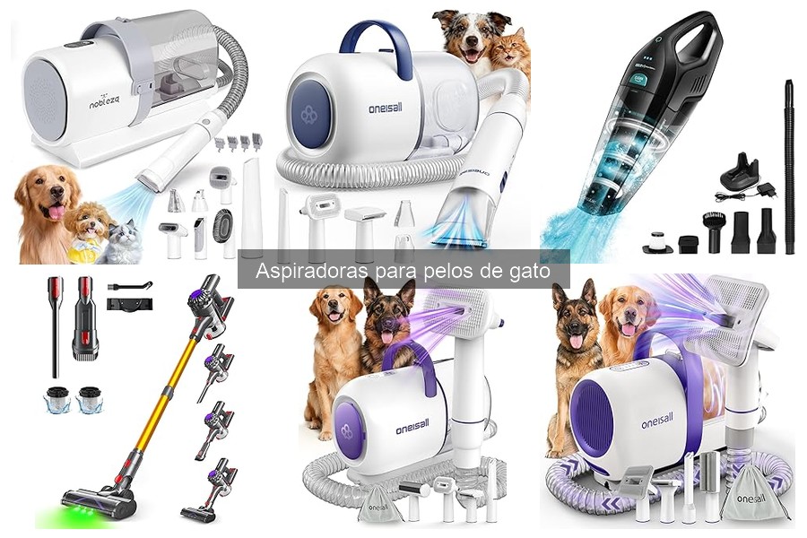 Precios de aspiradoras para pelos de gato y dónde comprarlas