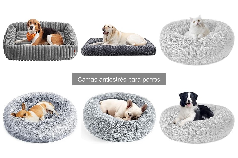 Precios de camas antiestrés para perros y dónde comprar