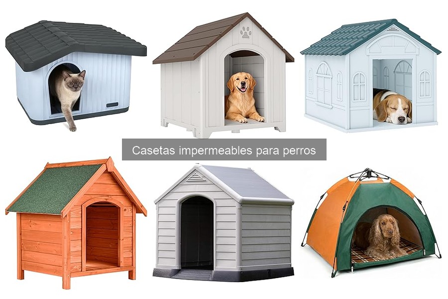 Precios de Casetas Impermeables para Perros: Guía Actualizada
