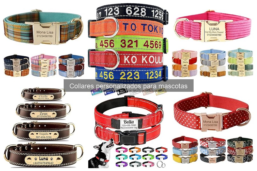 Precios de collares personalizados para mascotas en 2023