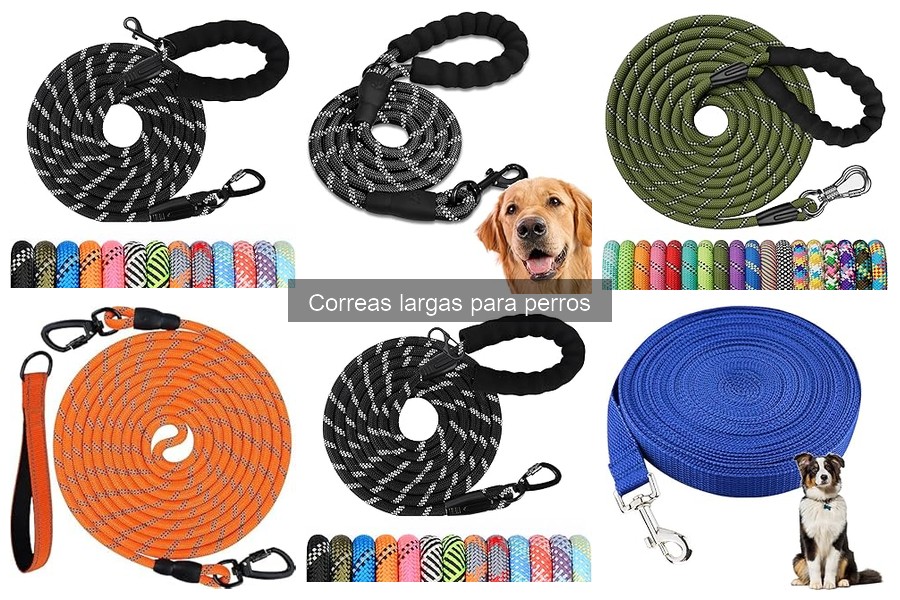 Precios de correas largas para perros: guía de compra 2023